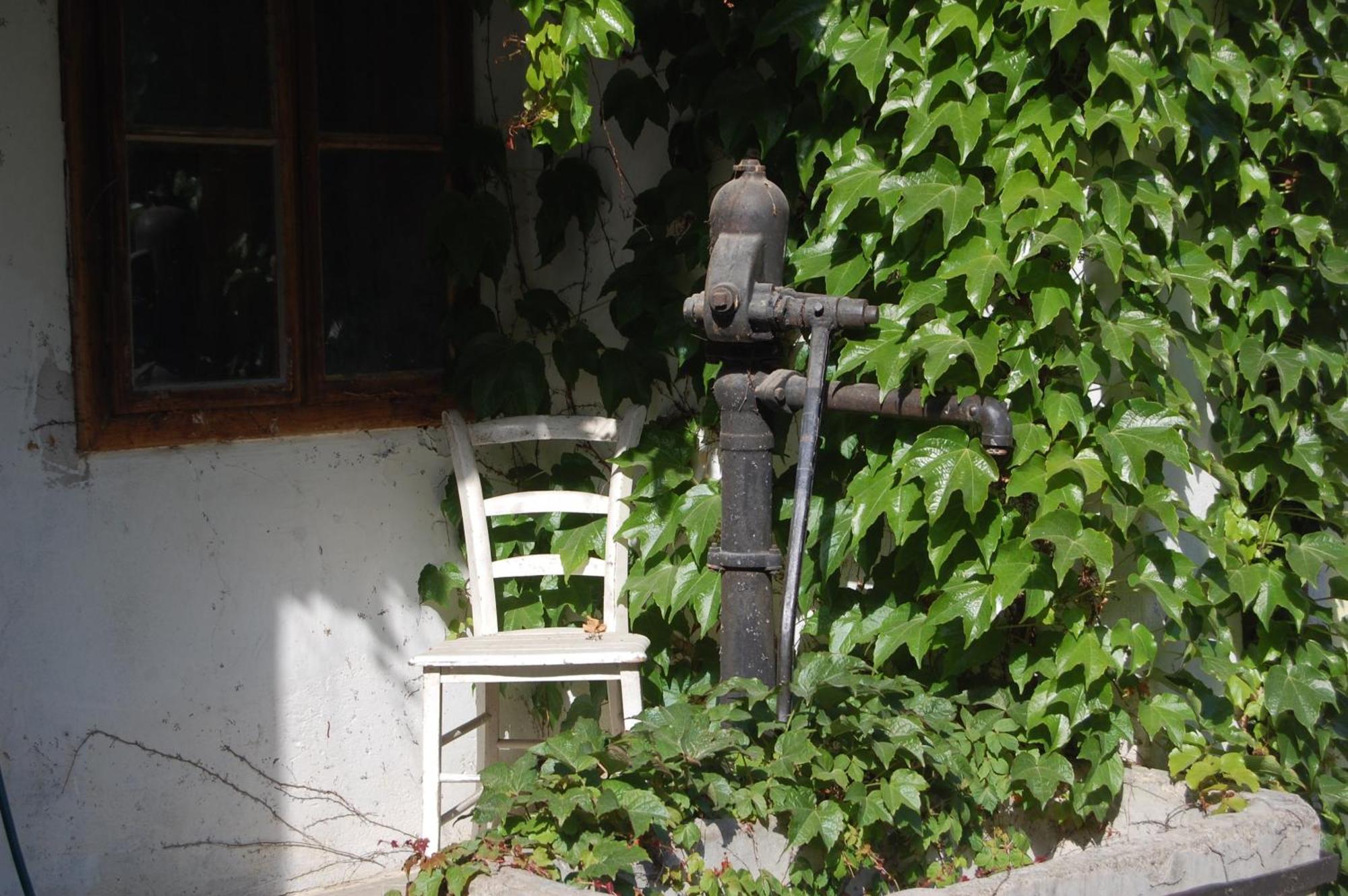 Hofgassl Zentgraf Bed and Breakfast Mörbisch am See Buitenkant foto