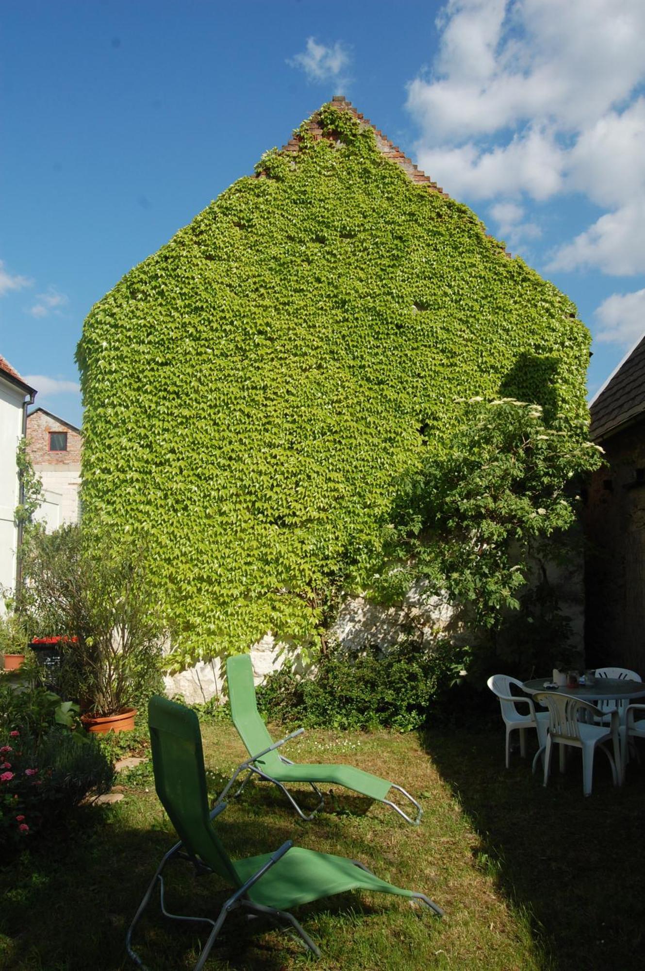 Hofgassl Zentgraf Bed and Breakfast Mörbisch am See Buitenkant foto