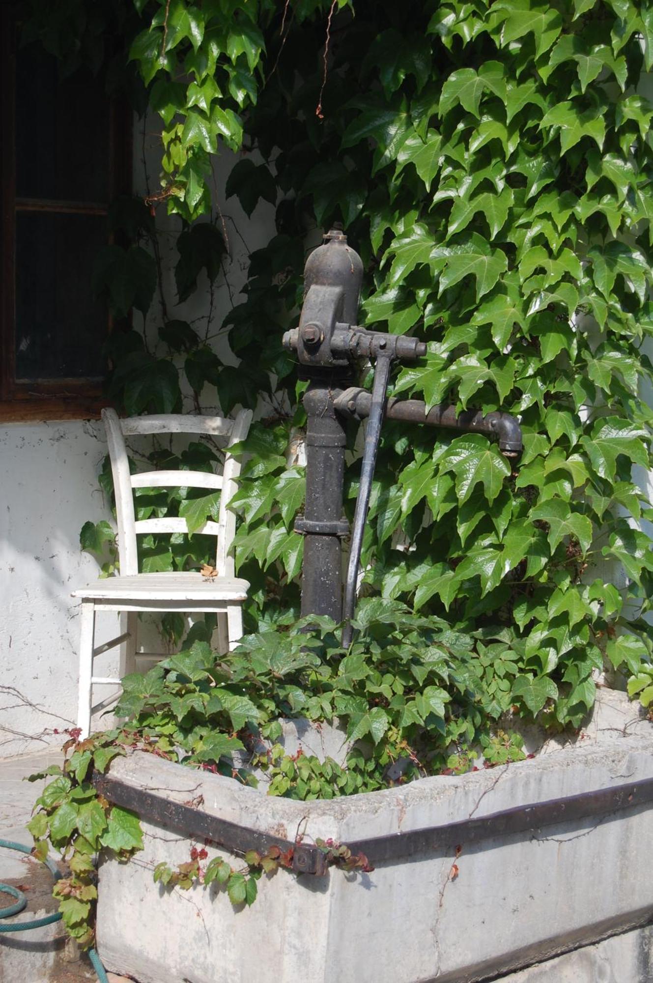 Hofgassl Zentgraf Bed and Breakfast Mörbisch am See Buitenkant foto
